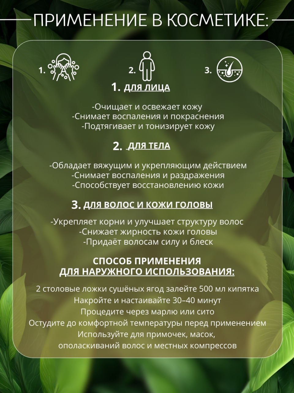 Черемуха — натуральная сушёная трава — изображение 4
