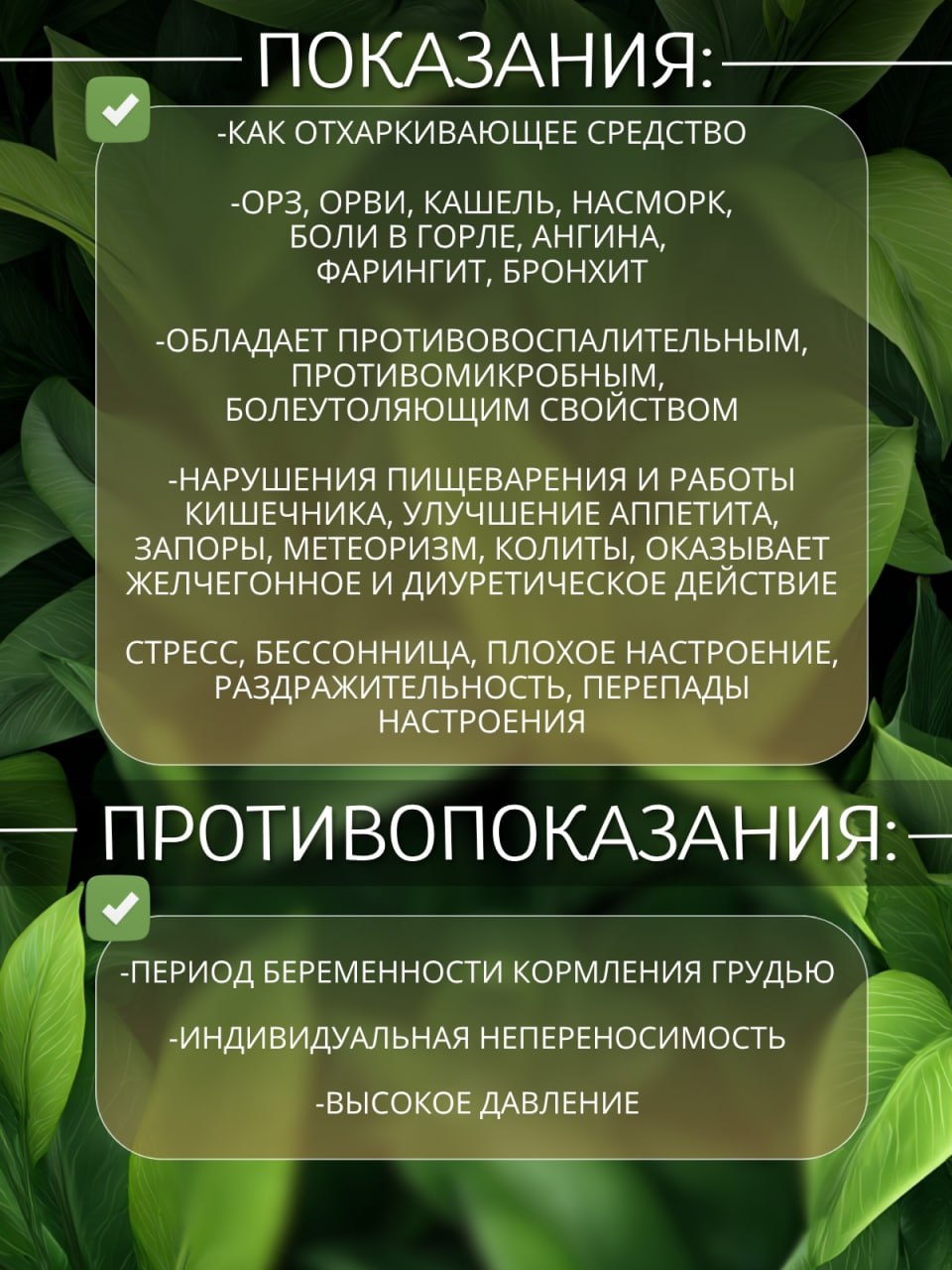 Душица — натуральная сушёная трава — изображение 2