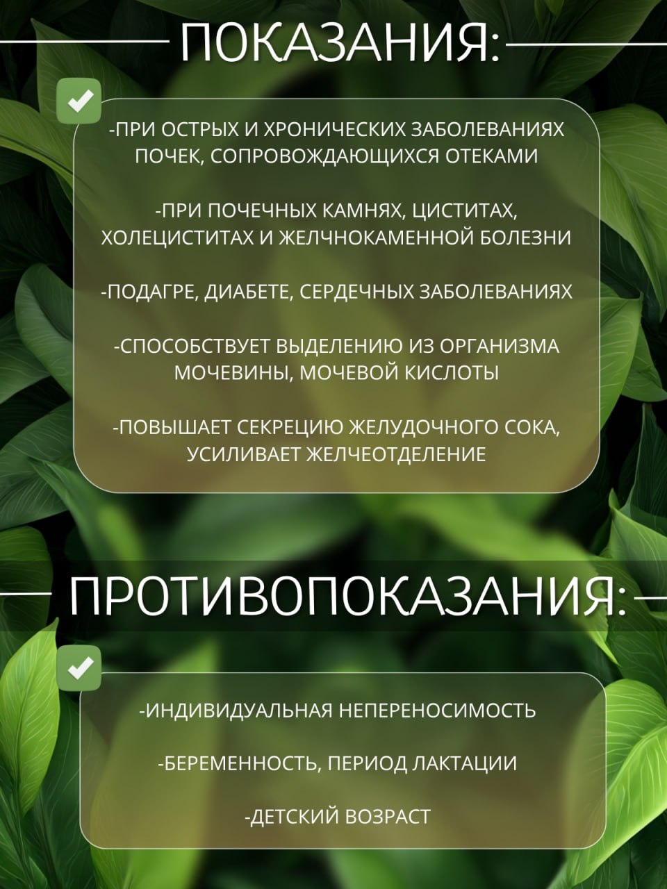 Ортосифон — натуральная сушёная трава — изображение 3