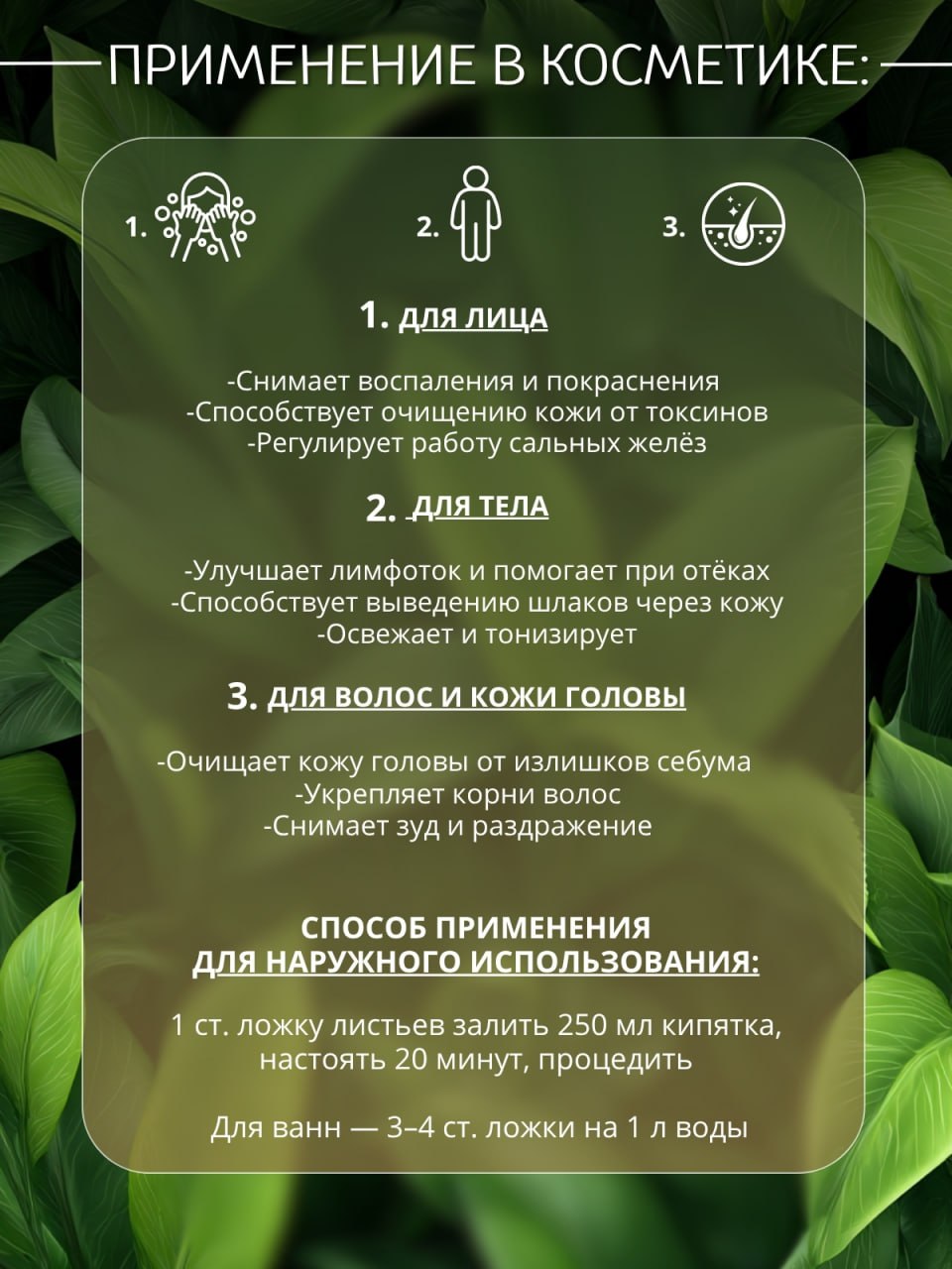 Ортосифон — натуральная сушёная трава — изображение 4