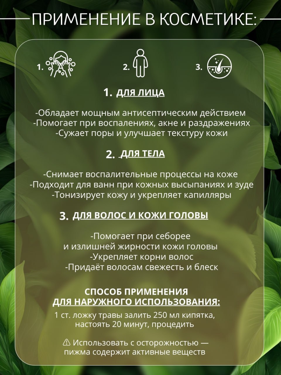 Пижма — натуральная сушёная трава — изображение 4