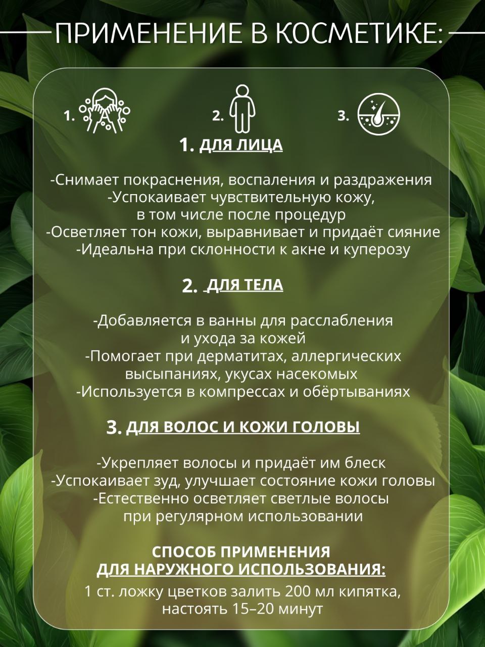 Ромашка цветки — натуральная сушёная трава — изображение 3