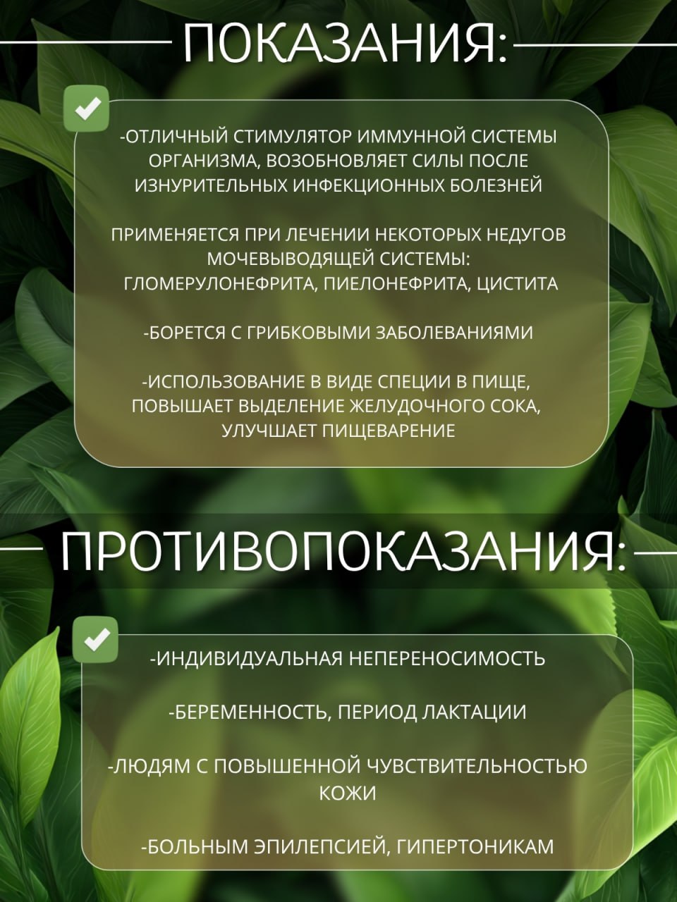 Розмарин — натуральная сушёная трава — изображение 3