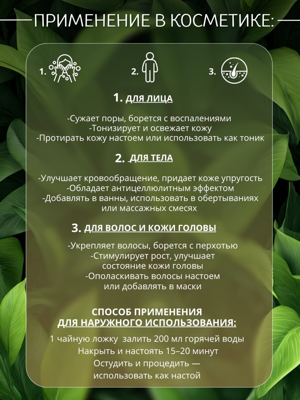 Розмарин — натуральная сушёная трава — изображение 4