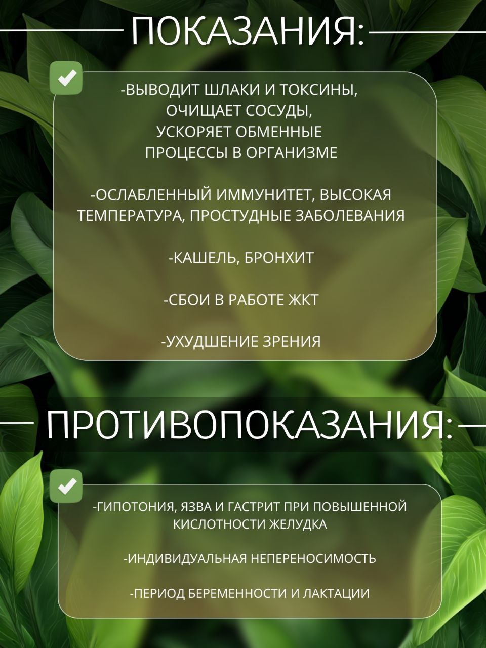 Смородина — натуральная сушёная трава — изображение 2