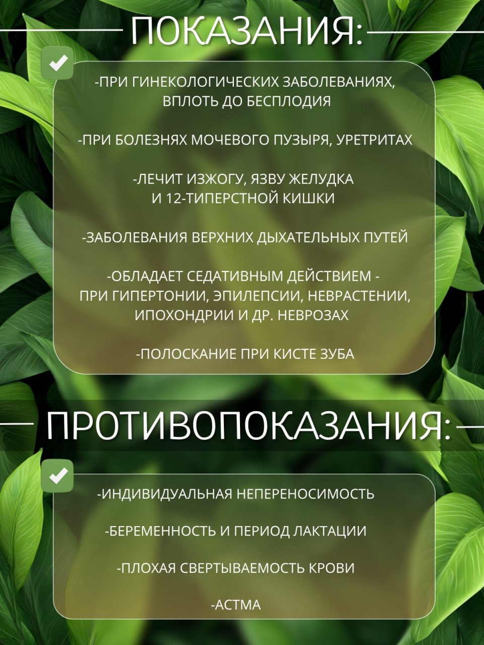 Таволга — натуральная сушёная трава — изображение 3