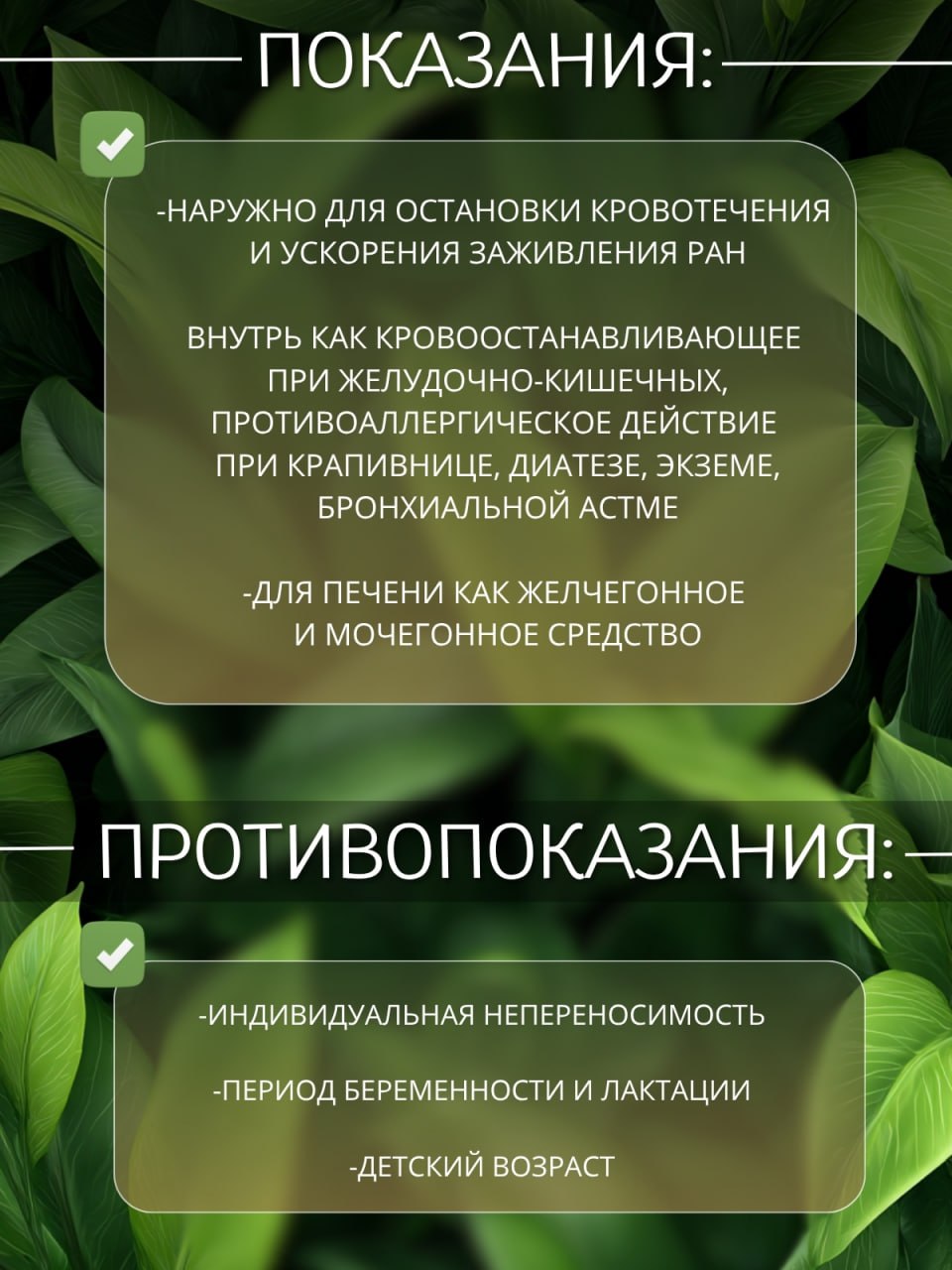Тысячелистник — натуральная сушёная трава — изображение 3