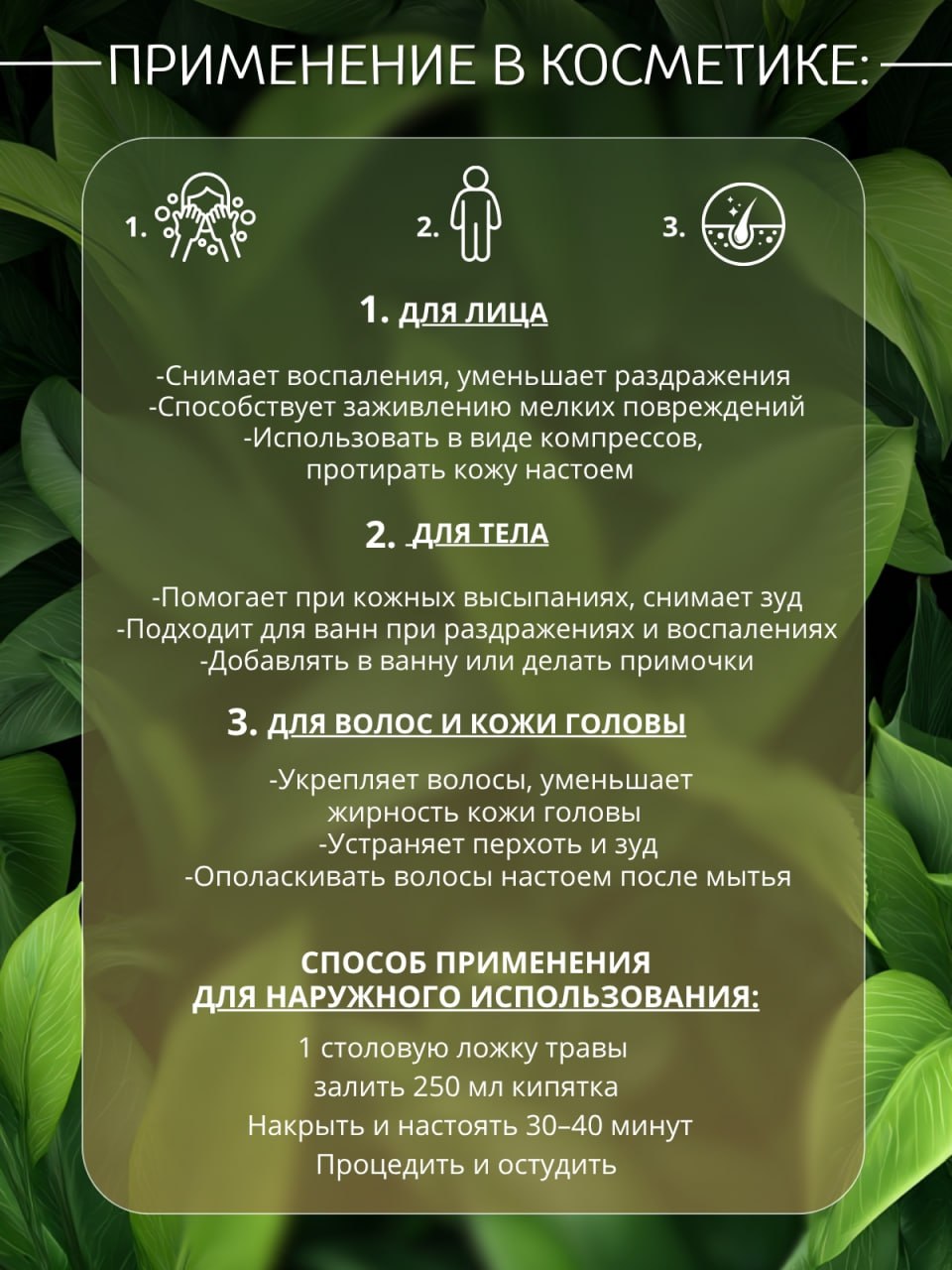 Тысячелистник — натуральная сушёная трава — изображение 4